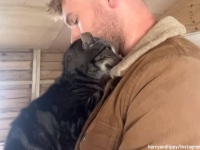 甘えん坊の猫、雨音が怖くて飼い主男性の懐の中にぴったりんこ