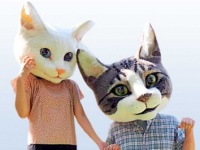 入場無料！　猫のチャリティイベント「ちよだ猫まつり2016」が開催