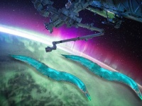 重力は遺伝子に影響を与える。宇宙に運んだ線虫の体内で多数の遺伝子が変化したことを確認（NASA）