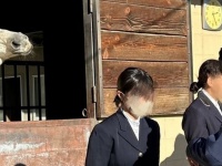 ゴルシにそっくり？　表彰式の後ろでドヤ顔キメる〝後方愛馬面〟に6.5万人爆笑