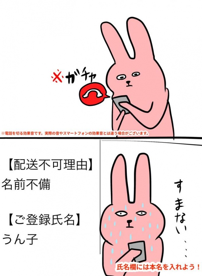 配送不可理由をメールで伝えられた（画像は愛さま（うん子）さん提供）