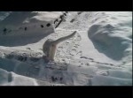 氷点下の野外に飛び出した猫に訪れた結末とは？