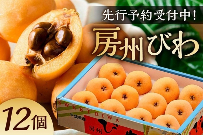 千葉県 南房総市「房州びわ(露地)12粒入2Lサイズ以上1箱」17000円（ふるさとチョイスより）