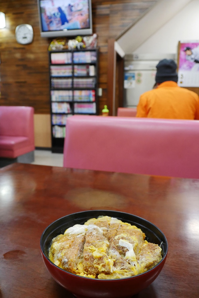 kochi-reihoku-03