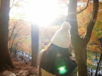 セクシー系から大女優までラインアップ！　男子が選んだ「紅葉が似合う女性芸能人」