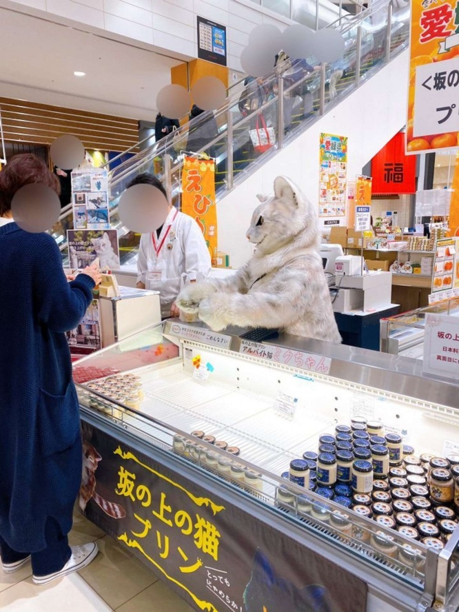 猫が接客している......(写真はすいか＠suikasu123さんより＝以下同)