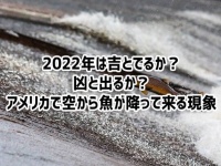 2022年どうなる？アメリカで魚の雨が降るレアな現象が観測される