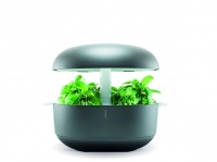 フィンランド発のインドアハーブガーデン「Plantui Smart Garden」日本上陸！