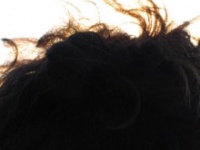 画像はイメージです