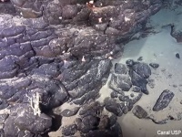 ブラジル沖で海に沈んだ4500万年前の沈没島を発見。九州の2.8倍の大きさ
