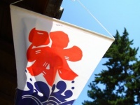 かき氷の季節ですね（画像はイメージ）