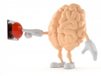 科学者が脳内にある「恐怖スイッチ」を発見。オフにする方法も明らかに