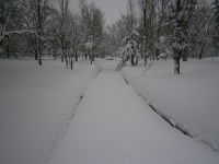 常磐公園、旭川市（2012年2月10日Nagonoさん撮影、Wikimedia Commons