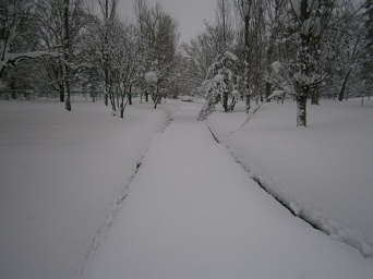 常磐公園、旭川市（2012年2月10日Nagonoさん撮影、Wikimedia Commons