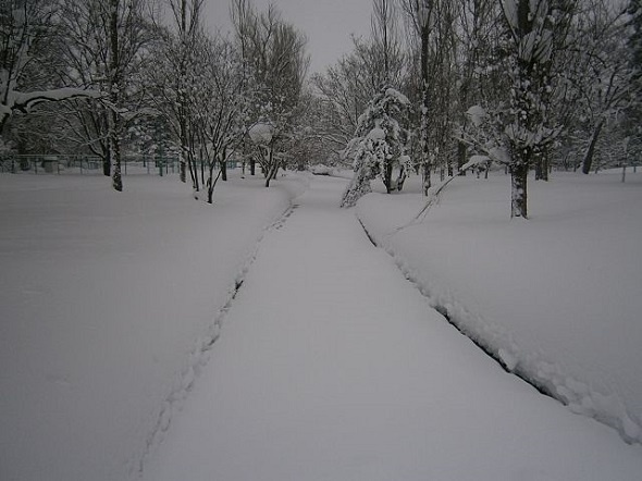 常磐公園、旭川市（2012年2月10日Nagonoさん撮影、Wikimedia Commons
