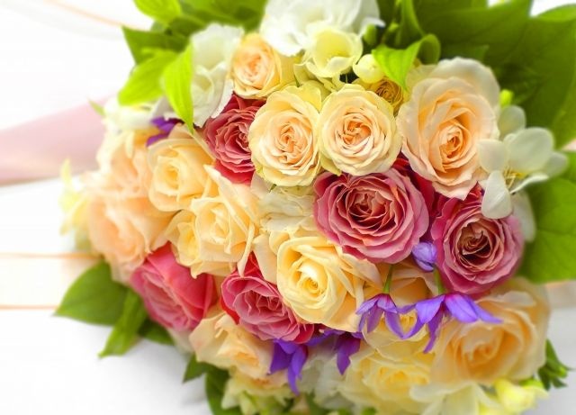 ※画像はイメージです