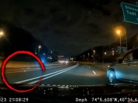 チワワが脱走し夜の高速道路を疾走するも、やさしい人々の連係プレーで無事帰宅