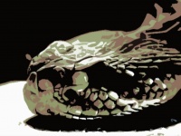 謎の死を遂げた蛇大量飼い男性の死因がついに特定される。やはり毒ヘビに噛まれていた