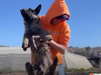 歩くことができない犬が男性に助けられ1年後に再会。救ってくれた恩人のことを忘れてはいなかった