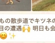 父「キツネの親子に遭遇！」→送られてきた写真を見ると...　〝ありえない生き物〟激写されてて11万人戦慄