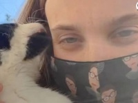 「わかった、一緒におうちに帰ろう！」ジョギング中に猫と出会った女性、飼い犬と猫との新生活をスタート