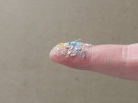 人体に入り込んだマイクロプラスチックは、ヒト細胞に悪影響を与えている可能性