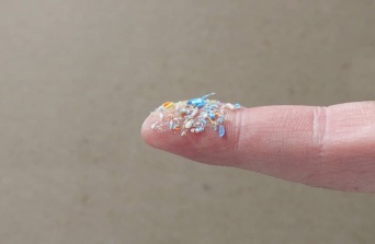 人体に入り込んだマイクロプラスチックは、ヒト細胞に悪影響を与えている可能性