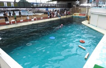 『 ラブライブ!サンシャイン!! Walker 』片手に、聖地・沼津へ日帰り旅行をレポート 【後編】