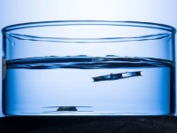 沈まない船ができるかも？蜘蛛とアリからヒントを得た水に浮く金属が開発される（米研究）