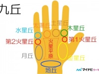 【手相占い】手のひらの「丘」でわかること