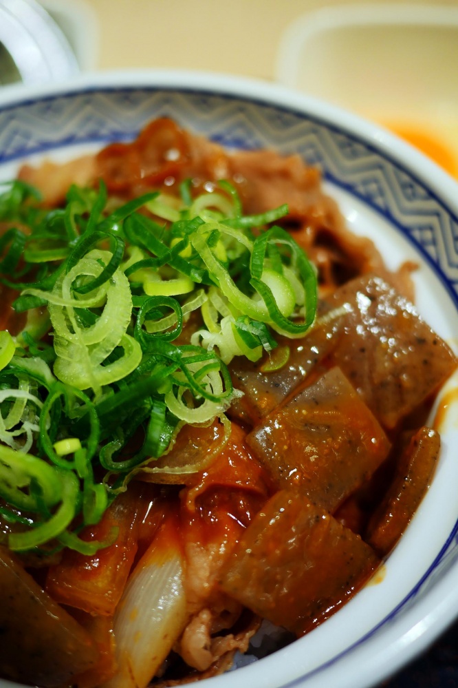 yoshinoya-dote2