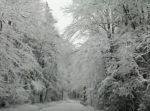 息を飲む絶景！　繊細で美しい雪景色！