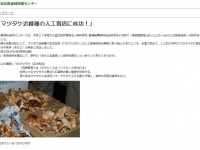 「バカマツタケ（正式和名）」という文字列のインパクト（画像は奈良県森林技術センターのサイトより）