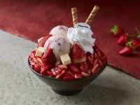 「ストロベリーソルビン with ハーゲンダッツ」