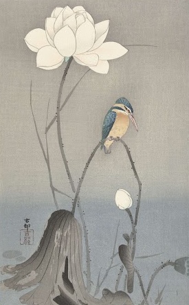 蓮の花とカワセミ 画：小原古邨 出典：アムステルダム国立美術館