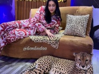 1週間で3億7千万円分のショッピング。ドバイ大富豪の妻の暮らしをご覧ください