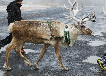 本当だったら楽しそう