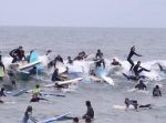 あえて譲らない！　大勢のサーファーが波でごった返すカオスなイベント。