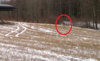 ルーマニアでUFOに乗り込む宇宙人がUFOに乗り込む姿が目撃される。プークスクスとなるその姿とは？