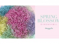 「Afternoon Tea LIVING」、クリエイター・青木むすび氏によるイメージヴィジュアルを展開