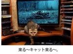 吹いたら寝てください！あなたを呼吸困難にする動物のボケて11選