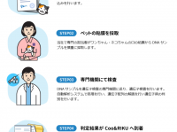有限会社 Coo&amp;RIKUのプレスリリース画像