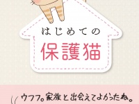 辰巳出版株式会社のプレスリリース画像