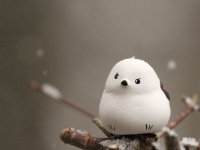 「シマエナガみくじ」画像は帯廣神社より提供（以下同）