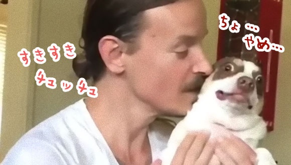 これは完全にキレてますね。飼い主にキスされまくる犬の表情がそのすべてを物語る。