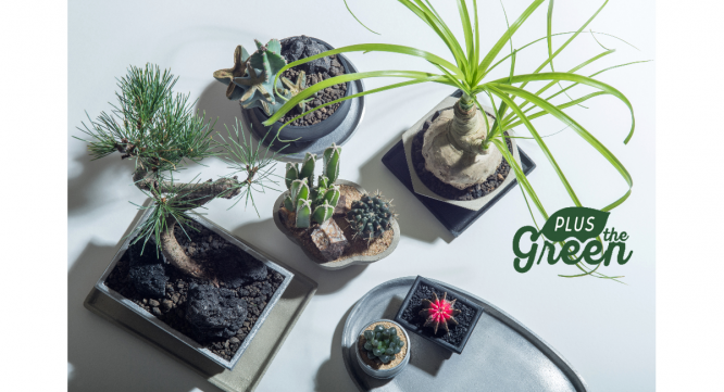 有限会社ポッシュリビングのプレスリリース画像