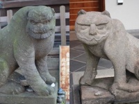 寅年の初詣にぴったりかも...！　東京で「狛虎」に会えるお寺を巡ってみた【後編】