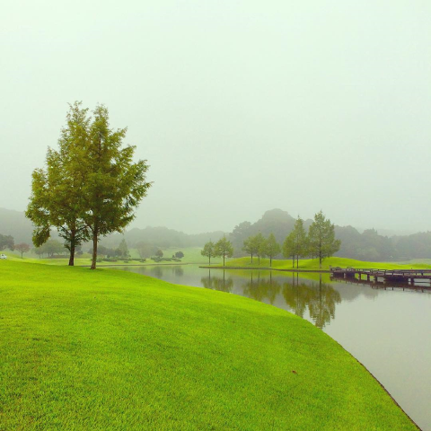 耳から極上のリラックスを！　癒しの音楽番組3選！#4