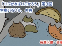 アレな生態系日常漫画「いぶかればいぶかろう」第3回：みんな違ってみんな猫