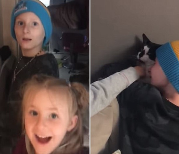 死んだと思っていた猫が生きていた！死亡認定された猫が再び家族の元に現れる